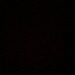 Meet your Posher, Lillian